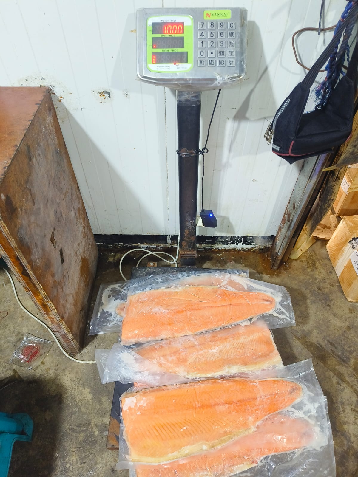 Salmon Fillet Lempeng Main